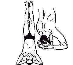 Sirshasana (Headstand)